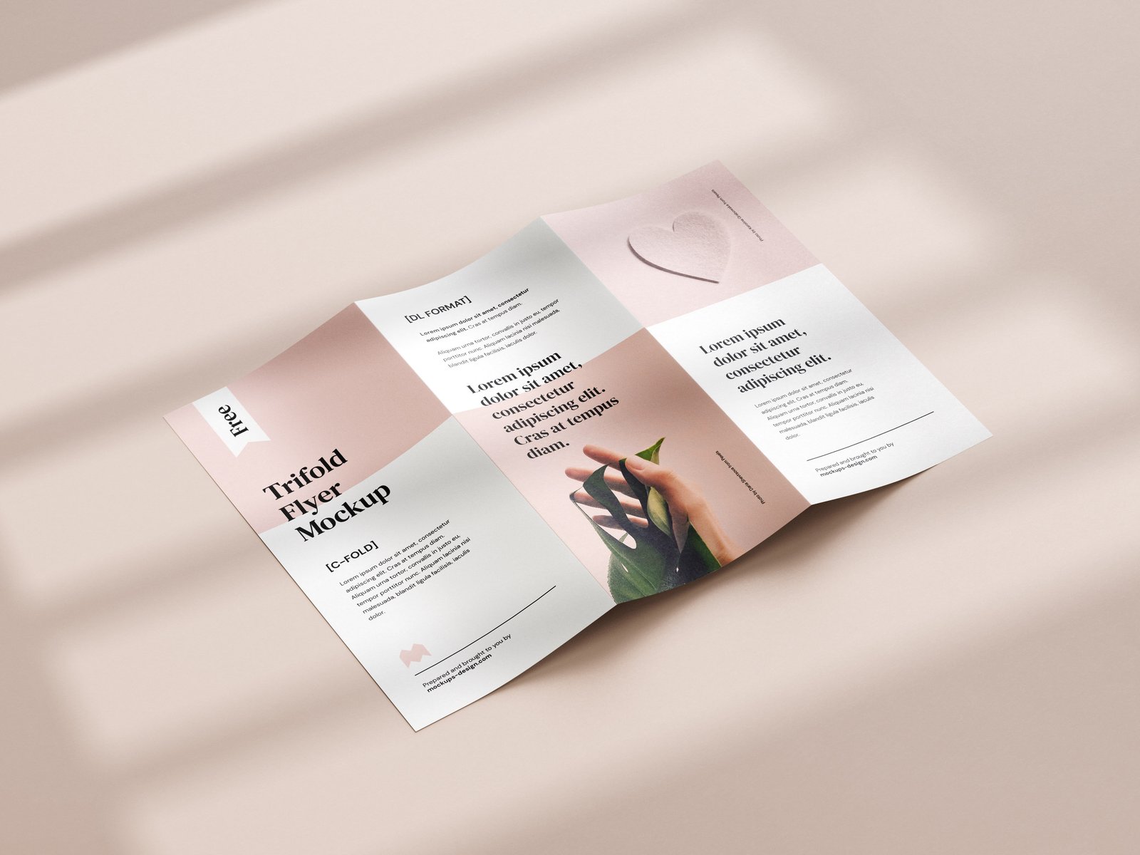 Custom printed flyer